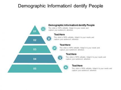 Demographic informationi dentify people ppt powerpoint presentation icon background images cpb