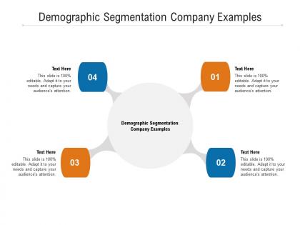 Demographic segmentation company examples ppt powerpoint presentation model graphics cpb
