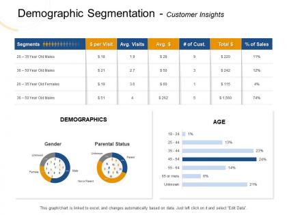 Demographic segmentation customer insights cust ppt powerpoint presentation show inspiration