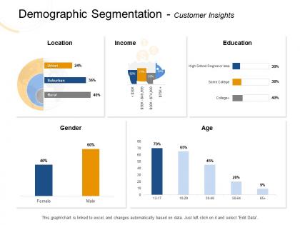 Demographic segmentation customer insights rural ppt powerpoint presentation file images