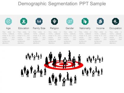 Demographic segmentation ppt sample