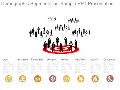 Demographic segmentation sample ppt presentation