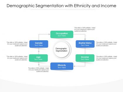 Demographic segmentation with ethnicity and income