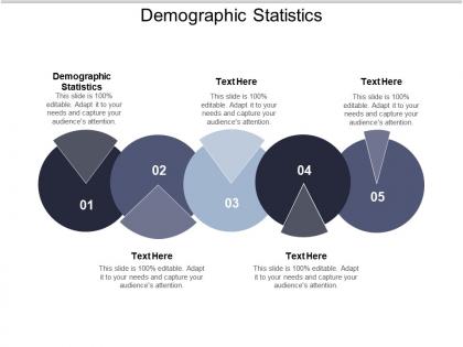 Demographic statistics ppt powerpoint presentation ideas portfolio cpb