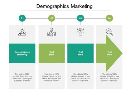 Demographics marketing ppt powerpoint presentation file sample cpb