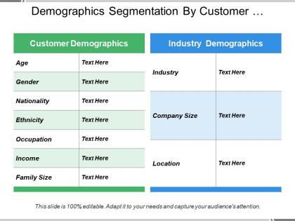 Demographics segmentation by customer preferences and industry size