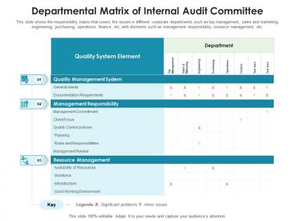 Departmental matrix of internal audit committee