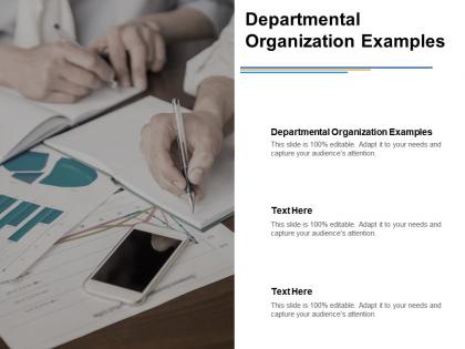 Departmental organization examples ppt powerpoint presentation styles ideas cpb