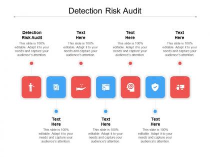 Detection risk audit ppt powerpoint presentation show background images cpb