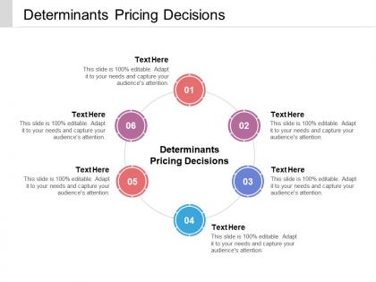 Determinants pricing decisions ppt powerpoint presentation gallery format cpb