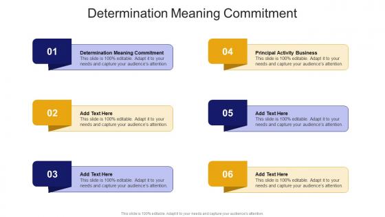 Determination Meaning Commitment In Powerpoint And Google Slides Cpb