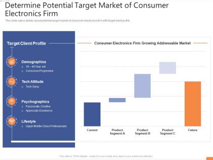 Determine potential target market firm entertainment electronics investor