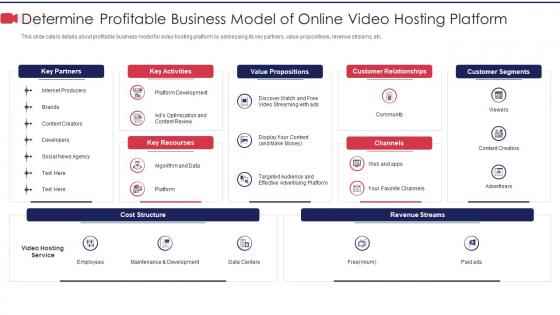Determine profitable business private video hosting platform investor funding elevator