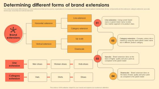 Determining Different Forms Of Brand Extensions Digital Brand Marketing MKT SS V