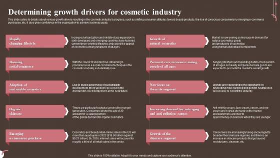 Determining Drivers For Cosmetic Industry Personal And Beauty Care Business Plan BP SS