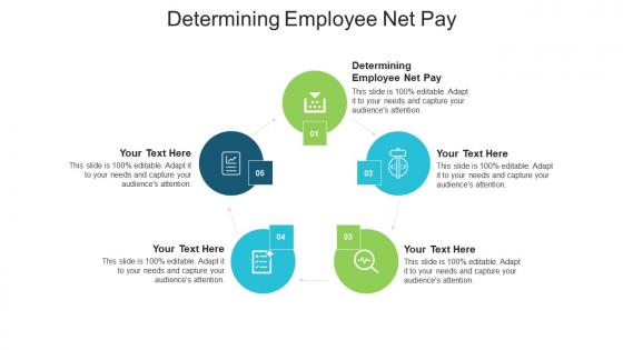 Determining employee net pay ppt powerpoint presentation file gridlines cpb
