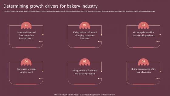 Determining Growth Drivers For Bakery Industry Cake Shop Business Plan BP SS