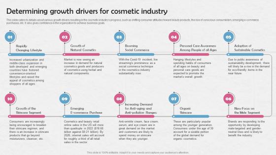 Determining Growth Drivers For Cosmetic Manufacturing Business BP SS
