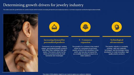 Determining Growth Drivers For Jewelry Costume Jewelry Business Plan BP SS