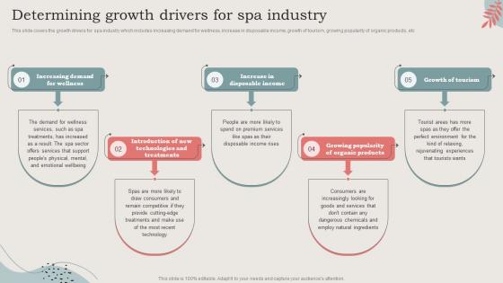 Determining Growth Drivers For Spa Industry Ideal Image Medspa Business BP SS