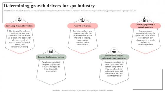 Determining Growth Drivers For Spa Industry Spa Salon Business Plan BP SS