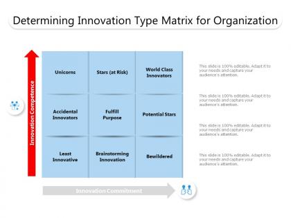 Determining innovation type matrix for organization