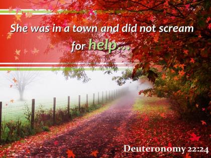Deuteronomy 22 24 town and did not scream powerpoint church sermon