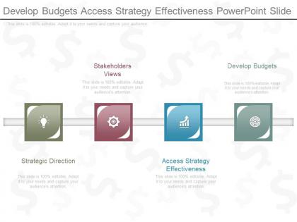 Develop budgets access strategy effectiveness powerpoint slide