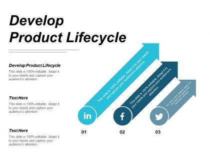 Develop product lifecycle ppt powerpoint presentation portfolio deck cpb