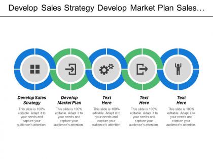 Develop sales strategy develop market plan sales force structure