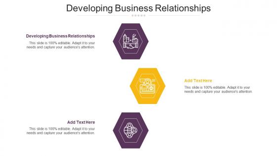Developing Business Relationships Ppt Powerpoint Presentation Styles Inspiration Cpb
