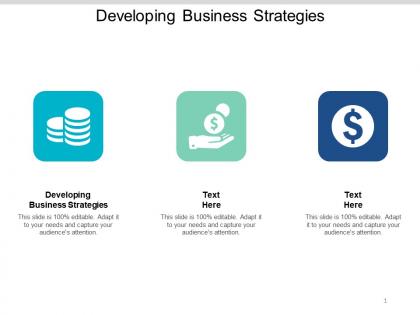 Developing business strategies ppt powerpoint presentation styles good cpb