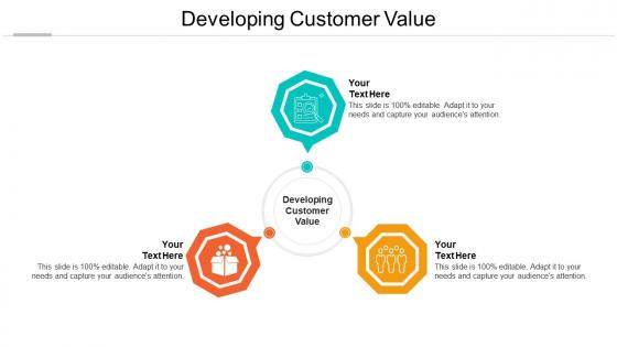 Developing customer value ppt powerpoint presentation icon smartart cpb