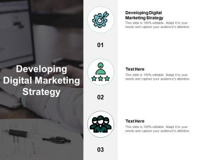Developing digital marketing strategy ppt powerpoint presentation clipart cpb