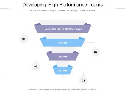 Developing high performance teams ppt powerpoint presentation professional aids cpb