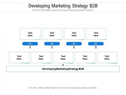 Developing marketing strategy b2b ppt powerpoint presentation inspiration sample cpb