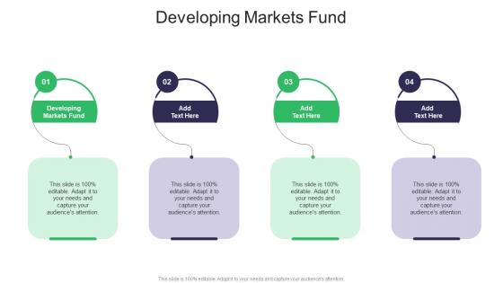 Developing Markets Fund In Powerpoint And Google Slides Cpb