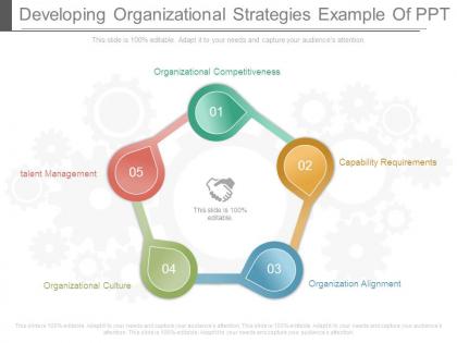 Developing organizational strategies example of ppt