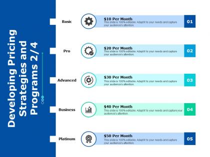 Developing pricing strategies and programs 2 4 ppt powerpoint presentation gallery infographic template