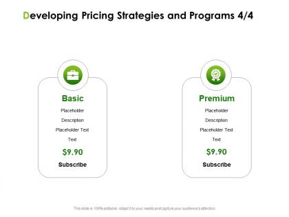 Developing pricing strategies and programs basic ppt powerpoint presentation layouts summary