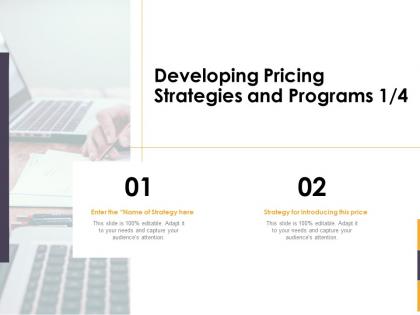 Developing pricing strategies and programs enter ppt powerpoint outline