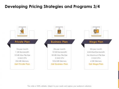 Developing pricing strategies and programs plan ppt powerpoint pictures