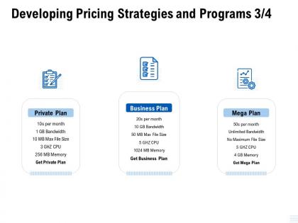 Developing pricing strategies and programs private ppt powerpoint presentation file objects