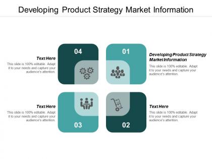 Developing product strategy market information ppt powerpoint presentation gallery objects cpb