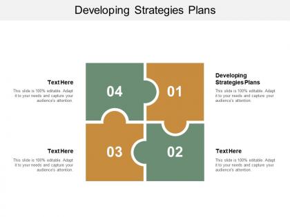 Developing strategies plans ppt powerpoint presentation icon model cpb