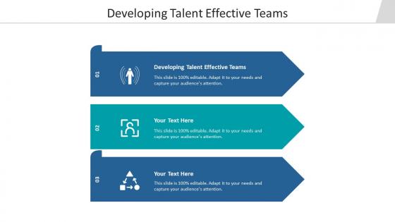 Developing talent effective teams ppt powerpoint presentation show themes cpb
