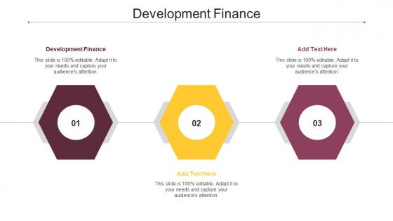 Development Finance Ppt Powerpoint Presentation Summary Microsoft Cpb