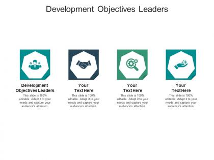 Development objectives leaders ppt powerpoint presentation file slide download cpb
