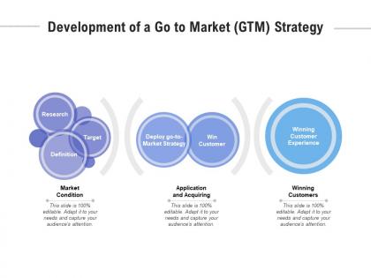 Development of a go to market gtm strategy