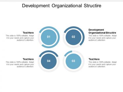 Development organizational structire ppt powerpoint presentation file cpb